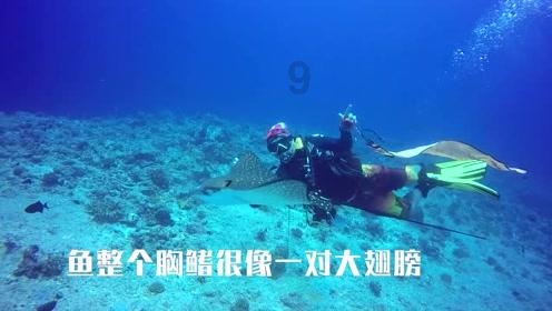 救援可爱的狮子
